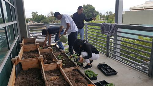 Raised garden 